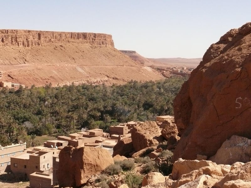 Green Oasis
